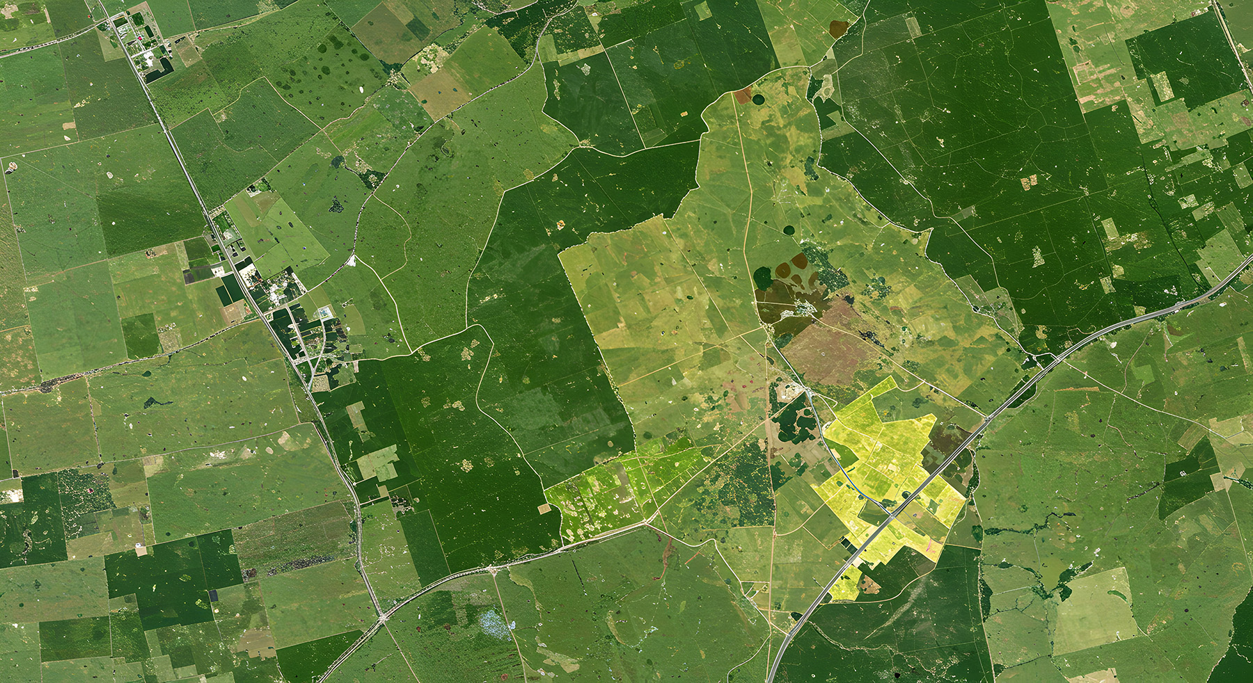 Navigating Scope and Resource Constraints in a Large-Scale Title Project