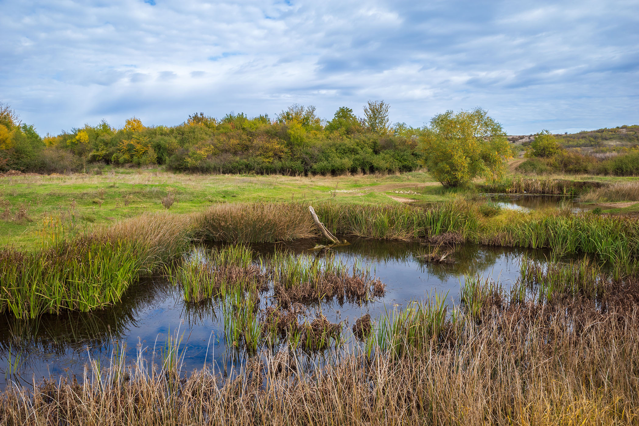 wetland reduced